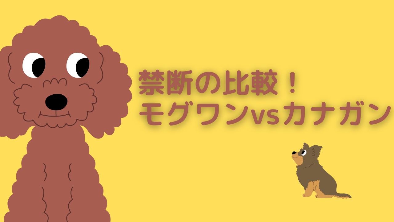 禁断の比較！モグワンvsカナガン！どちらがおすすめ？