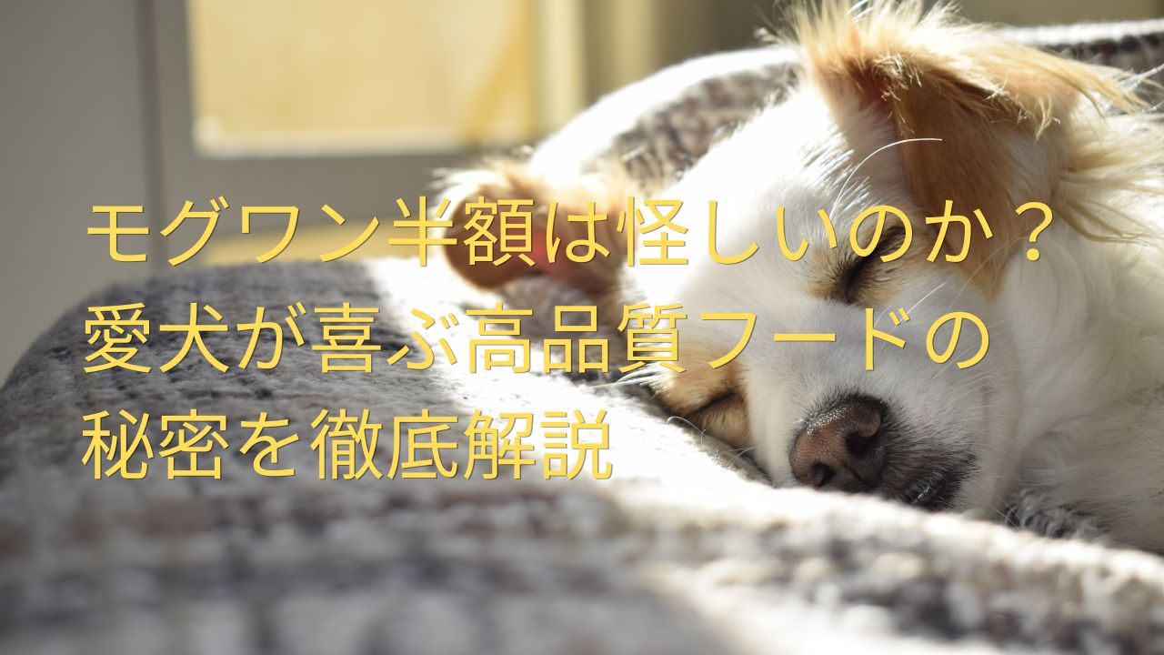 モグワン半額 怪しい