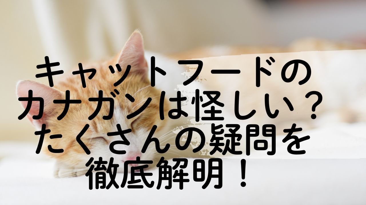 キャットフード カナガン 怪しい
